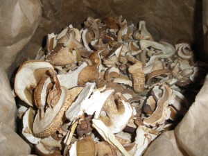 Сухие белые грибы фото | Сухие белые грибы
